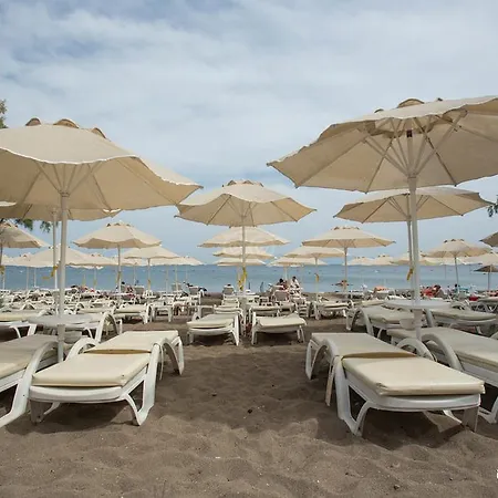 Viras 3* オータキャンツ