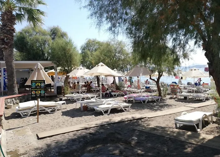 Viras 3* Ortakent