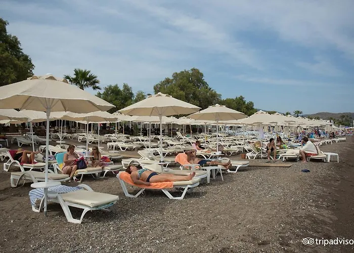 Viras Hotel 3*