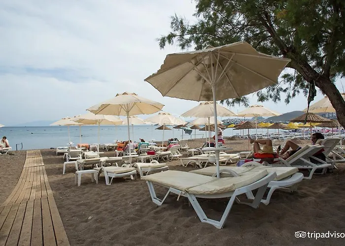 Viras Hotel
