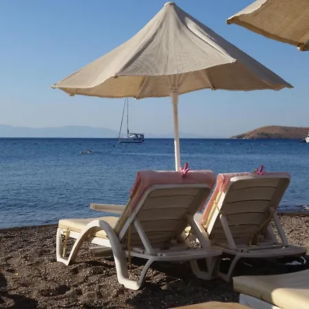 Viras Hotel Ortakentyahşi