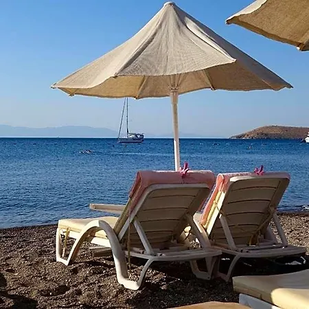 Viras Ortakent